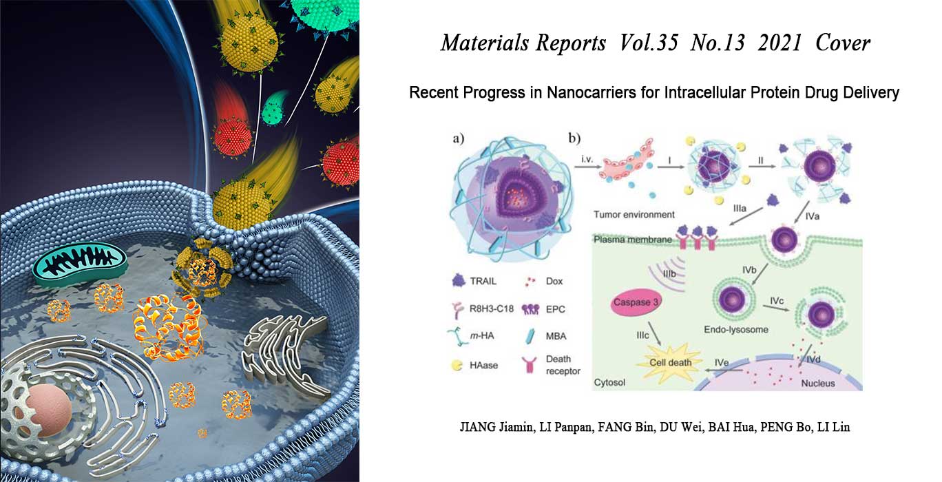 Recent Progress in Nanocarriers for Intracellular Protein Drug Delivery
