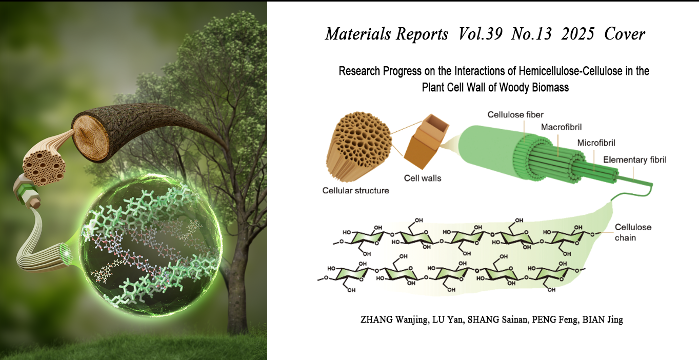 木质生物质细胞壁半纤维素-纤维素相互作用研究进展